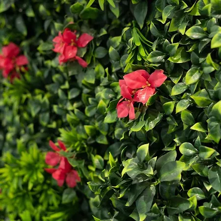 Capsule Thailande I Sauna I Balneo I Console I Jeux En Bois I Cinema I Cour Interieure Appartement