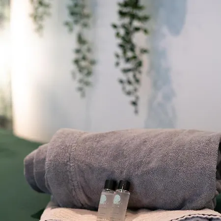 Capsule Thailande I Sauna I Balneo I Console I Jeux En Bois I Cinema I Cour Interieure Trith-Saint-Leger