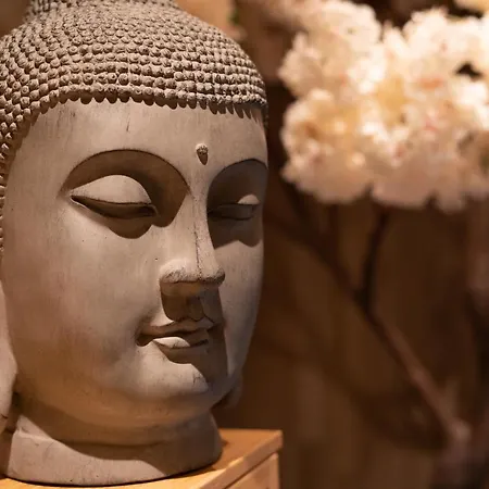 Capsule Thailande I Sauna I Balneo I Console I Jeux En Bois I Cinema I Cour Interieure 公寓 *