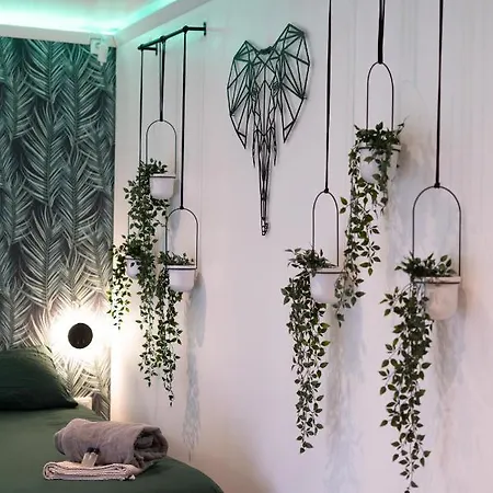 Capsule Thailande I Sauna I Balneo I Console I Jeux En Bois I Cinema I Cour Interieure Apartment