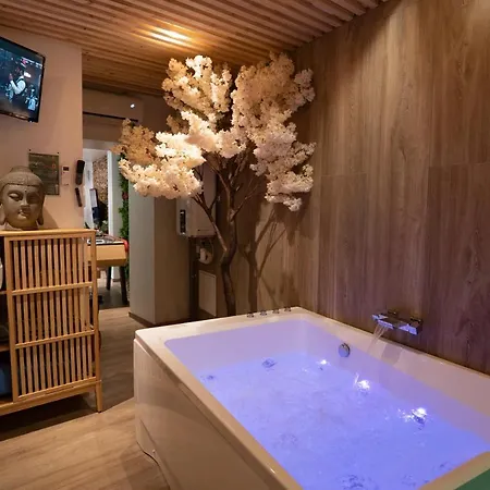 Capsule Thailande I Sauna I Balneo I Console I Jeux En Bois I Cinema I Cour Interieure *