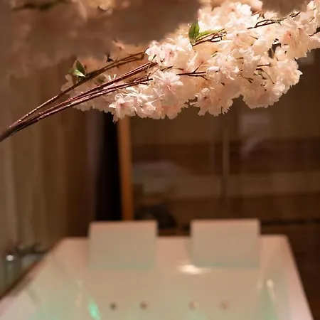 Capsule Thailande I Sauna I Balneo I Console I Jeux En Bois I Cinema I Cour Interieure Appartement *