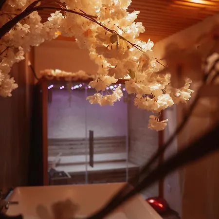 Capsule Thailande I Sauna I Balneo I Console I Jeux En Bois I Cinema I Cour Interieure